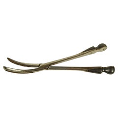 Cranioclastic steel forceps and ebony handles England mid-19th century.