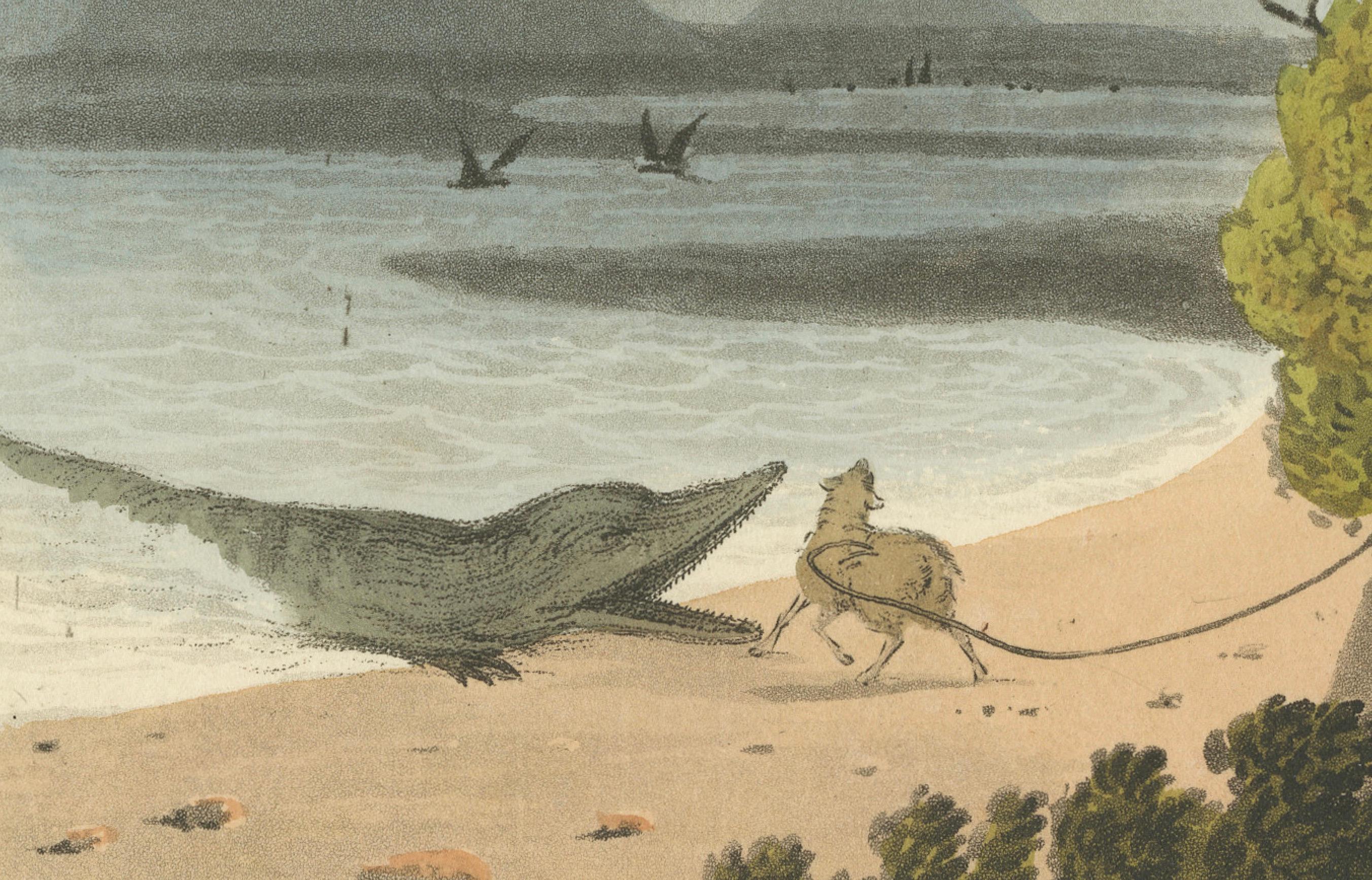 Paper Foreign Field Sports: Egyptians, Crocodile Catching by Dubourg & Howitt, 1813 For Sale
