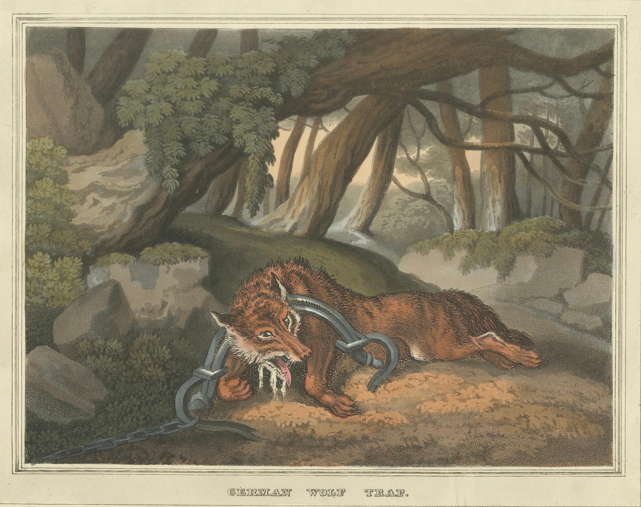 Foreign Field Sports: German Wolf Trap Aquatint by Dubourg & Howitt, 1813 In Good Condition For Sale In Langweer, NL