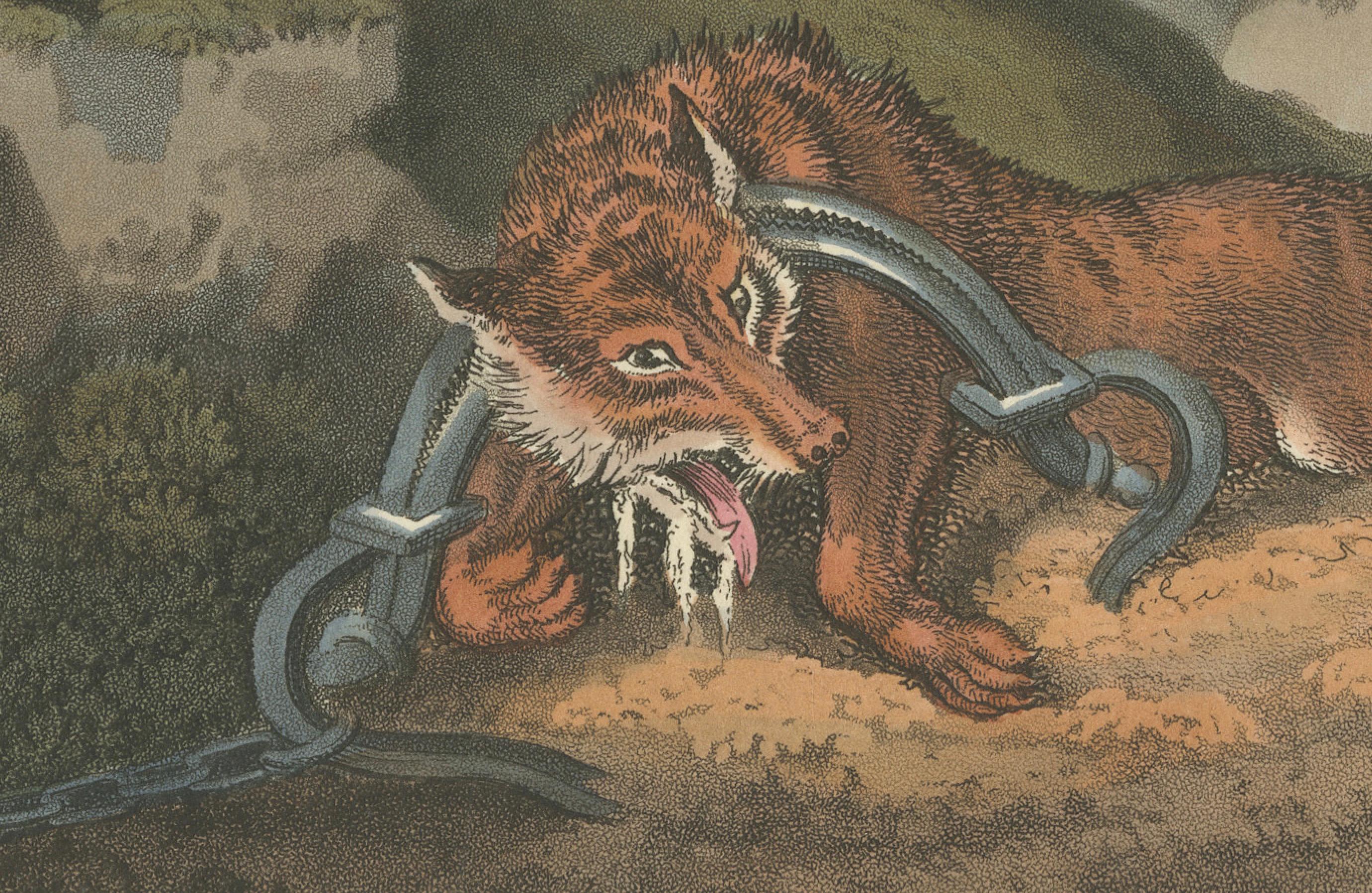 Early 19th Century Foreign Field Sports: German Wolf Trap Aquatint by Dubourg & Howitt, 1813 For Sale
