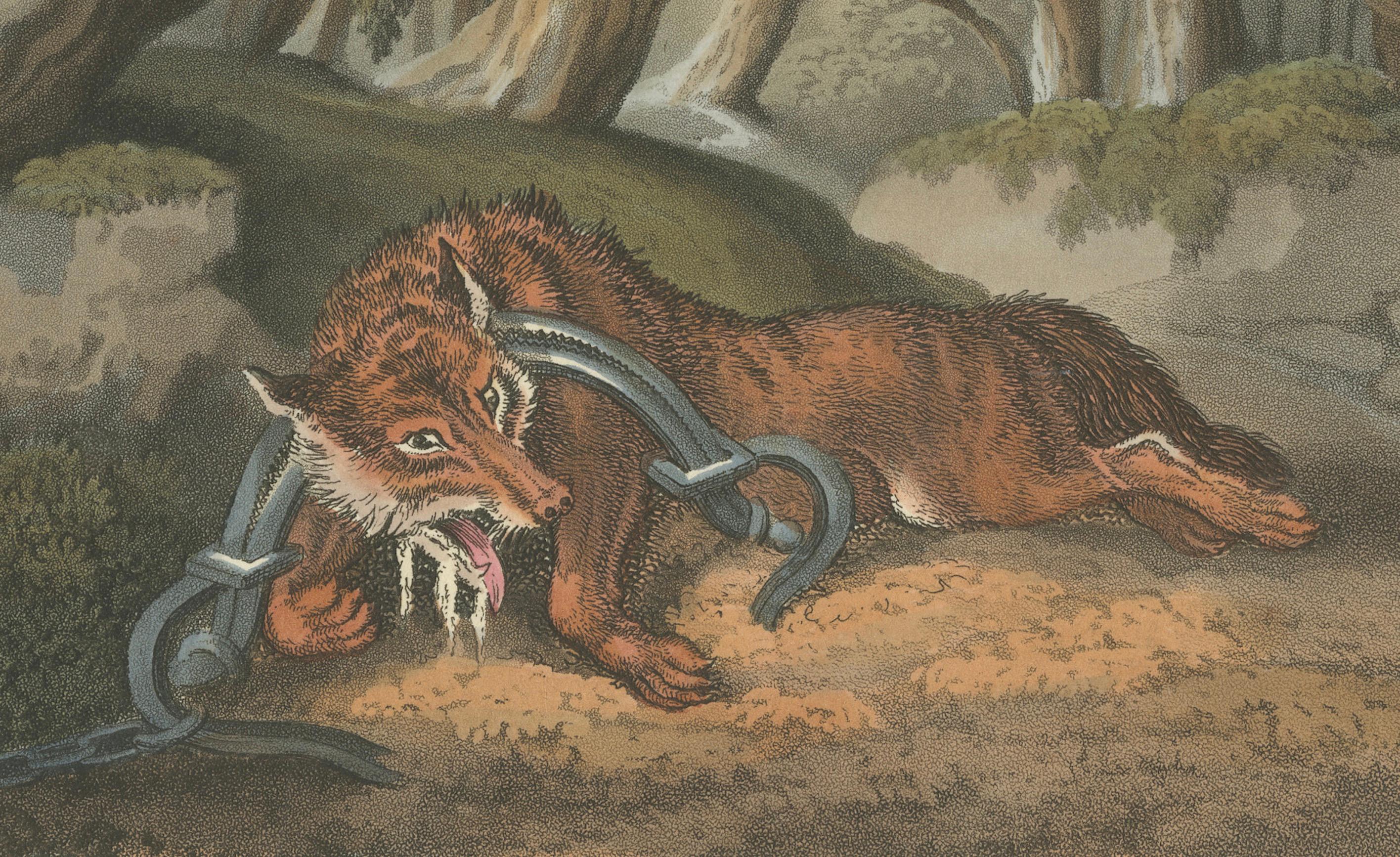 Foreign Field Sports: German Wolf Trap Aquatint by Dubourg & Howitt, 1813 For Sale 1