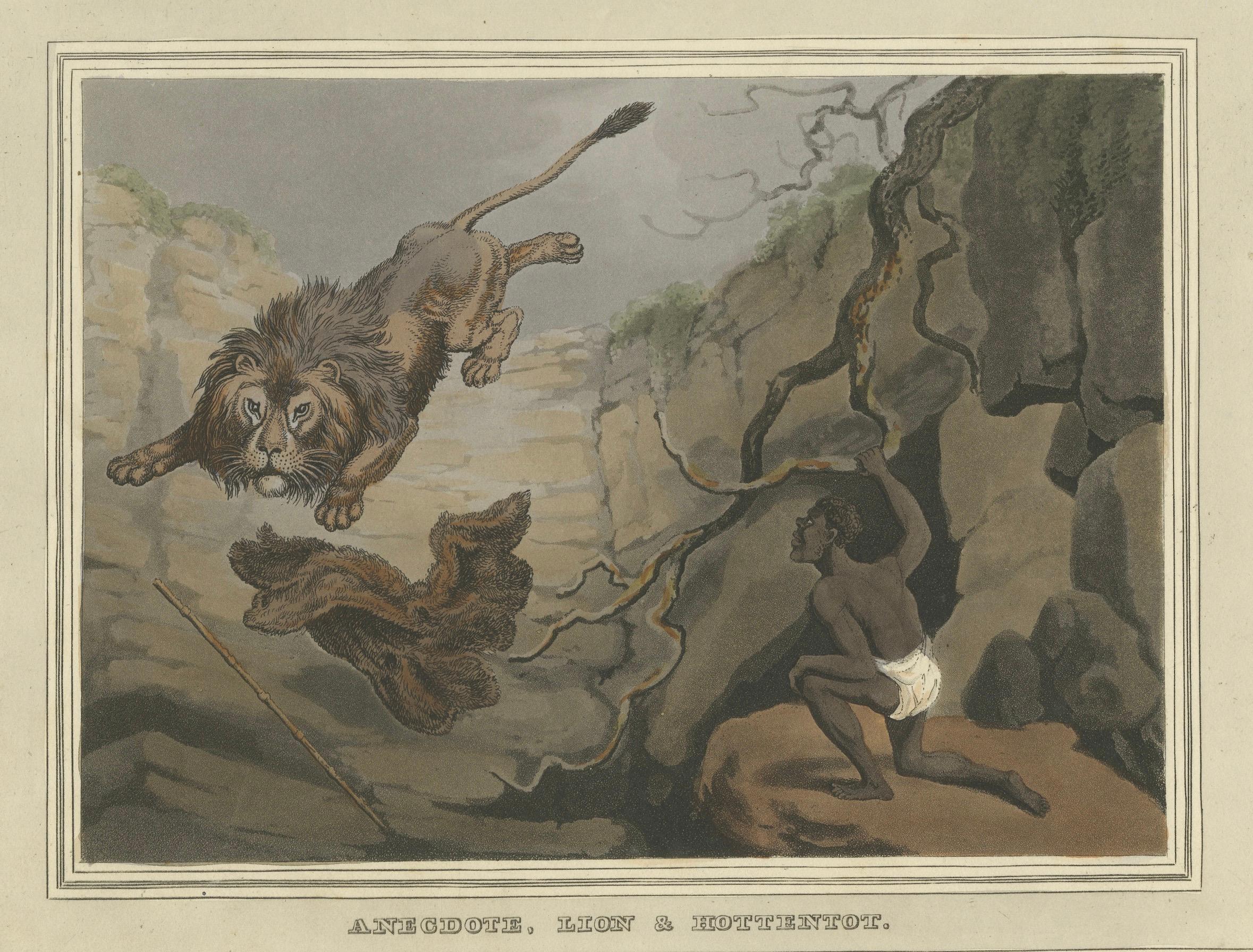 Sport da campo stranieri: Leone e Ottentotto Acquatinta di Dubourg, Merke & Howitt, 1813 In condizioni buone in vendita a Langweer, NL