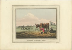 Foreign Field Sports: Shooting Antelopes in India, Aquatint, 1813