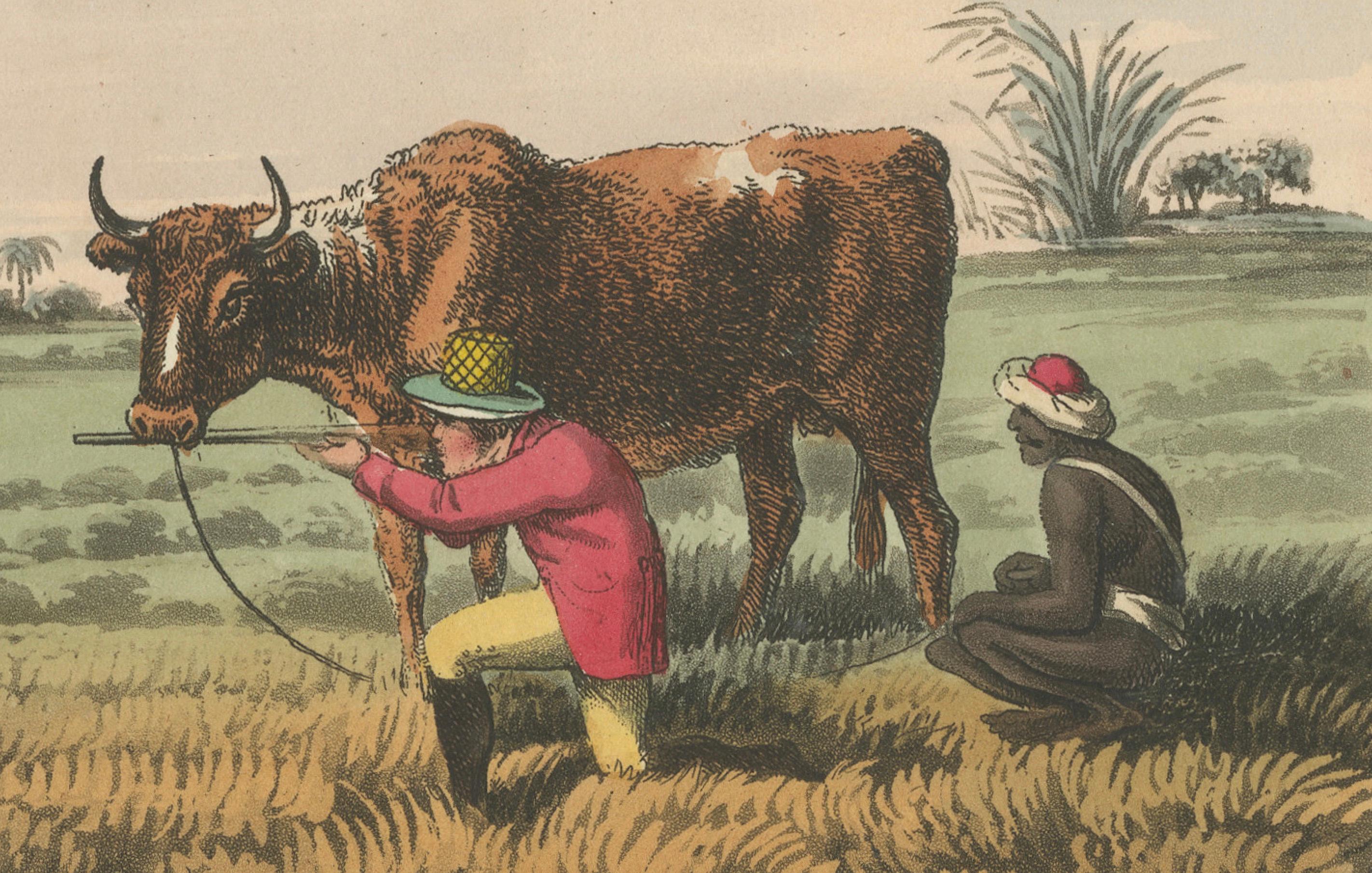 Early 19th Century Foreign Field Sports: Shooting Antelopes in India, Aquatint, 1813 For Sale