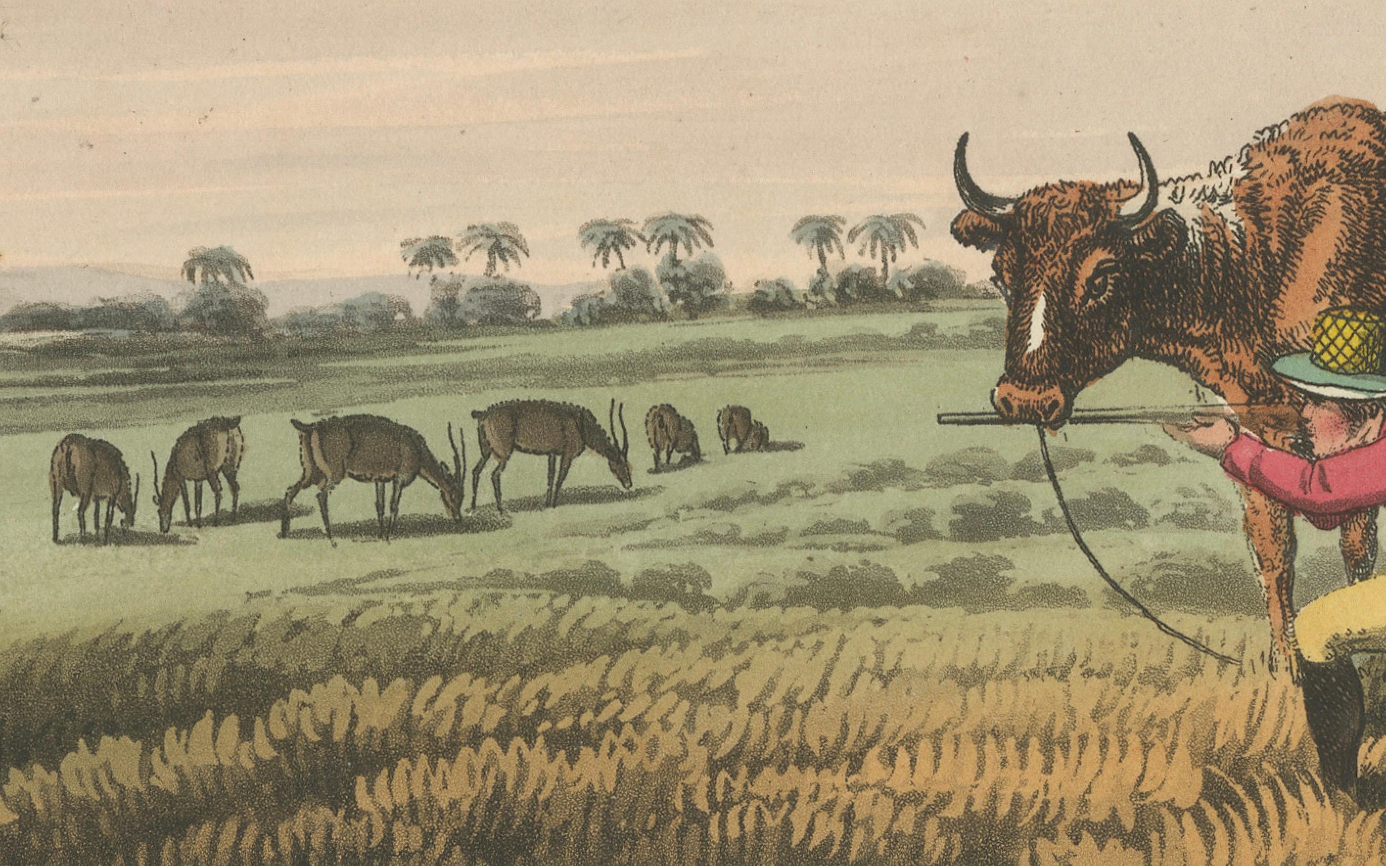 Paper Foreign Field Sports: Shooting Antelopes in India, Aquatint, 1813 For Sale
