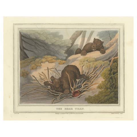 Foreign Field Sports: The Bear Triap Aquatint by Dubourg, Merke & Howitt, 1813