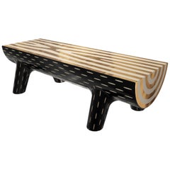 Forest Bench with Brass Inlay by Marcantonio