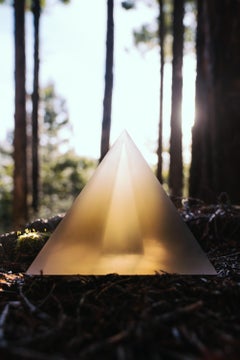 Forest Floor