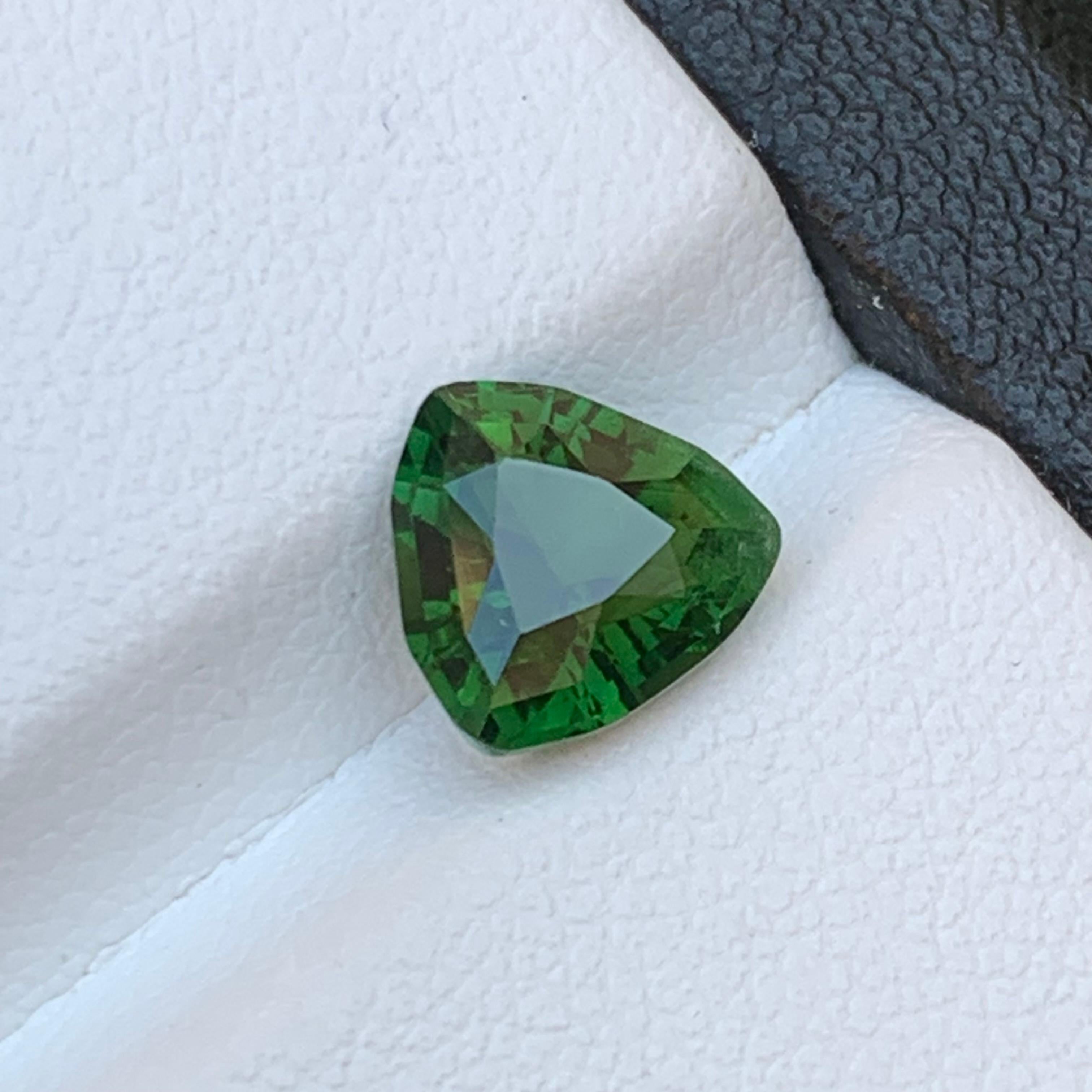 Tourmaline Naturelle Vert Forêt pour bague, collier, pendentif ou tout autre bijou, taillée en trillion de Kunar Afghanistan !

💎 TYPE DE PIERRE PRÉCIEUSE : Tourmaline
⚖️ POIDS : 1,70 carat
🪚 SHAPE & CUT : Coupe Trillion
📏 TAILLE (MM) : 7,68 x