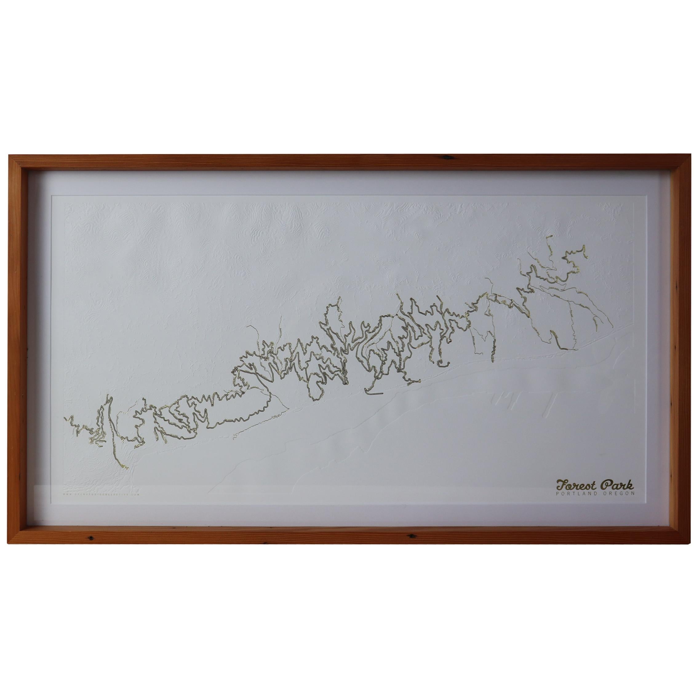 Forest Park Letter Pressed Map with Embossed Trails in Salvaged Fir Frame