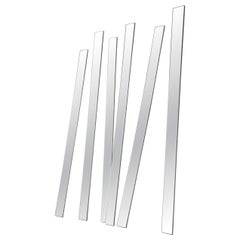 Forest Silver Maxi Modular Wall Mirror by GTG Design Couture