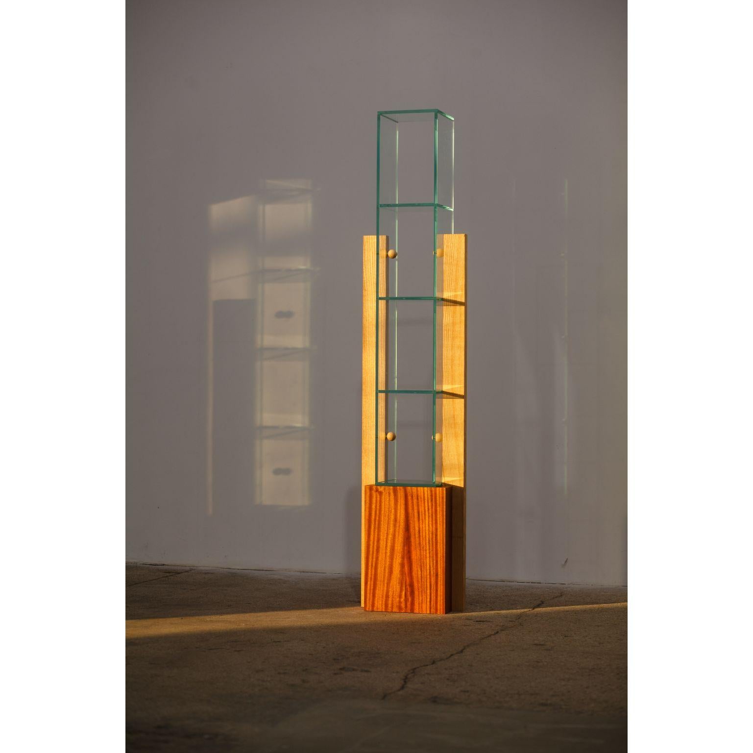 Form 1 by Radu Abraham
A limited series of 10, currently at nr. 2
Materials: Mahogany wood, ash wood, glass
Dimensions: 34 x 20 x 160 cm.

Base made out of a masive block of mahogany wood, ash sides and glass shelves with acces from both sides.