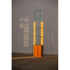 Form 1 de Radu Abraham