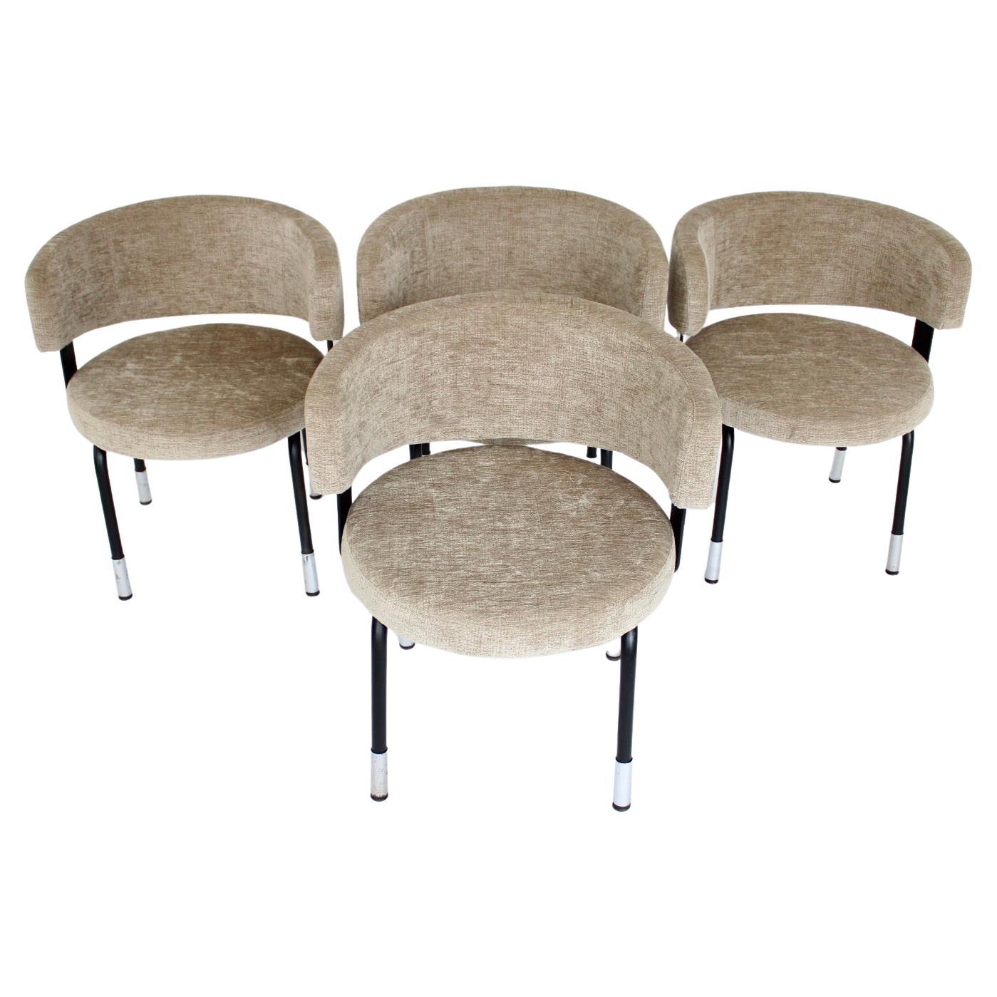 Formanova Italian Dining Chairs Set of Four by Gianni Moscatelli  For Sale