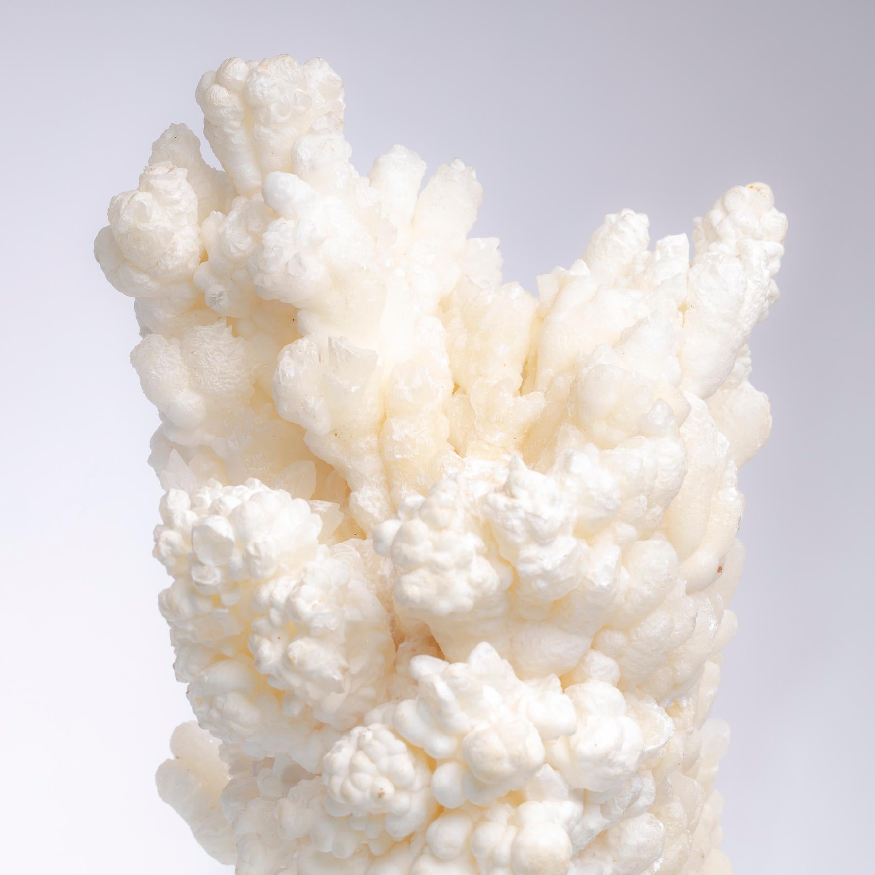 Formation of Aragonite Crystal Clusters from Morocco in a Custom Acrylic Stand 3