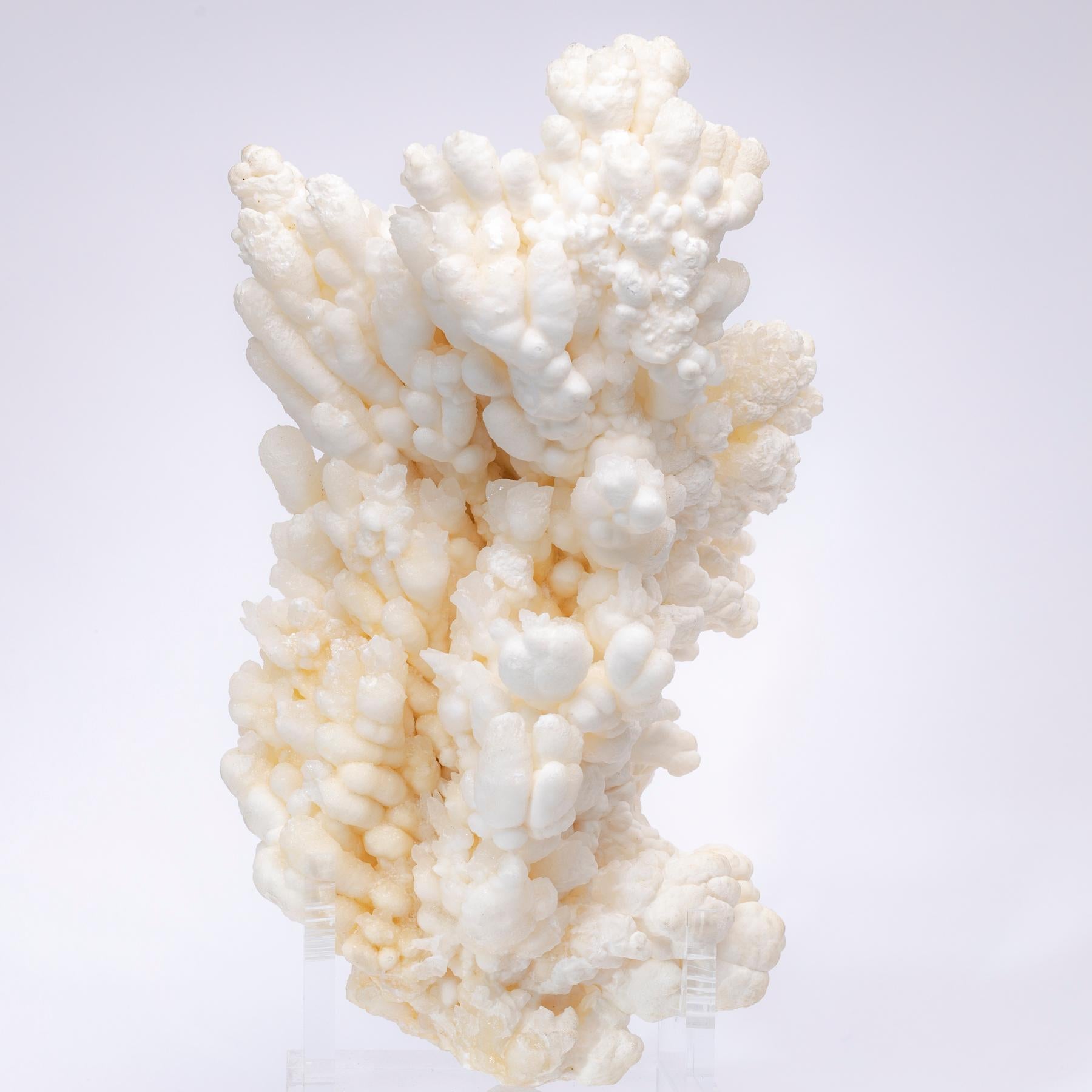 Organic Modern Formation of Aragonite Crystal Clusters from Morocco in a Custom Acrylic Stand