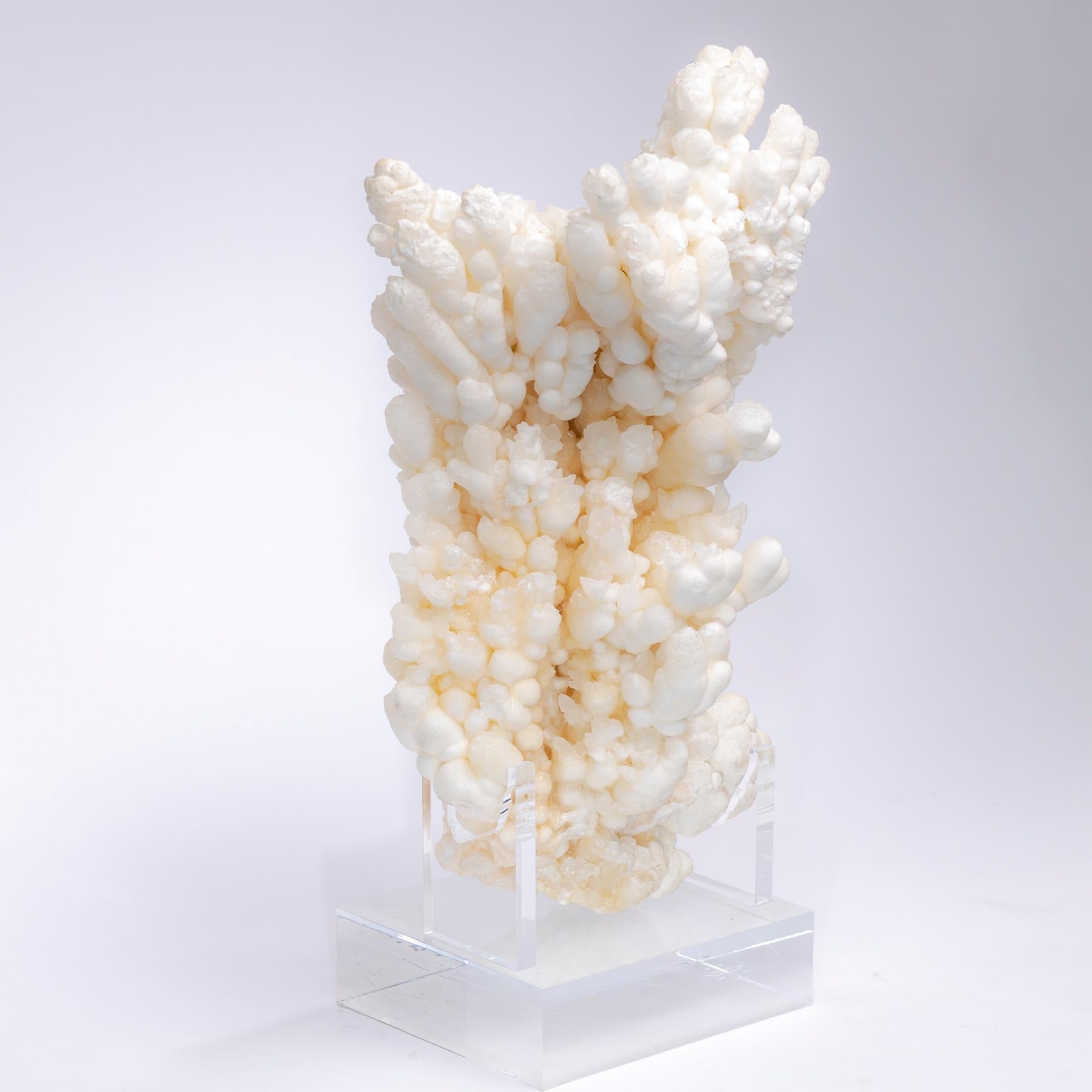 Mexican Formation of Aragonite Crystal Clusters from Morocco in a Custom Acrylic Stand