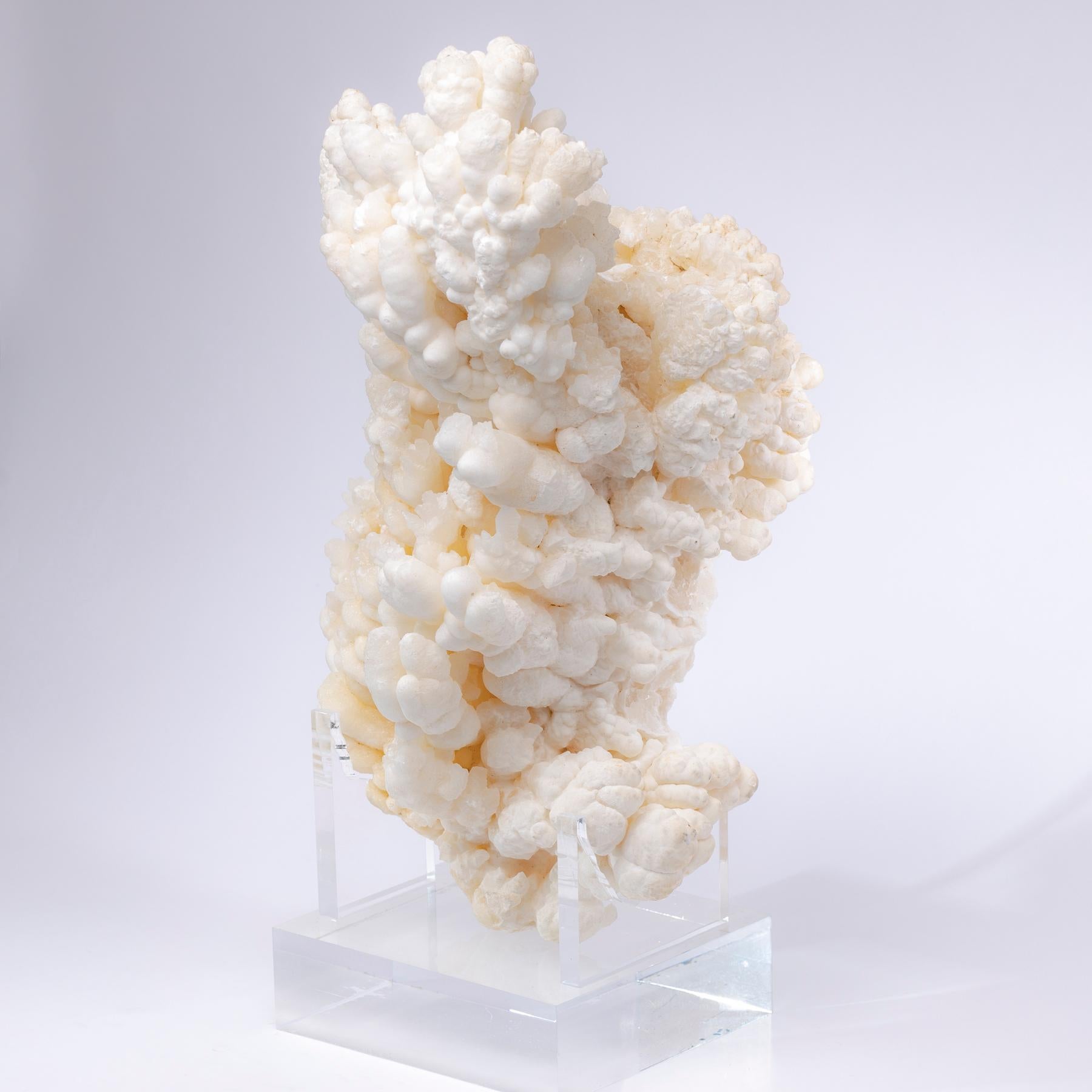 Formation of Aragonite Crystal Clusters from Morocco in a Custom Acrylic Stand In New Condition In Polanco, CDMX
