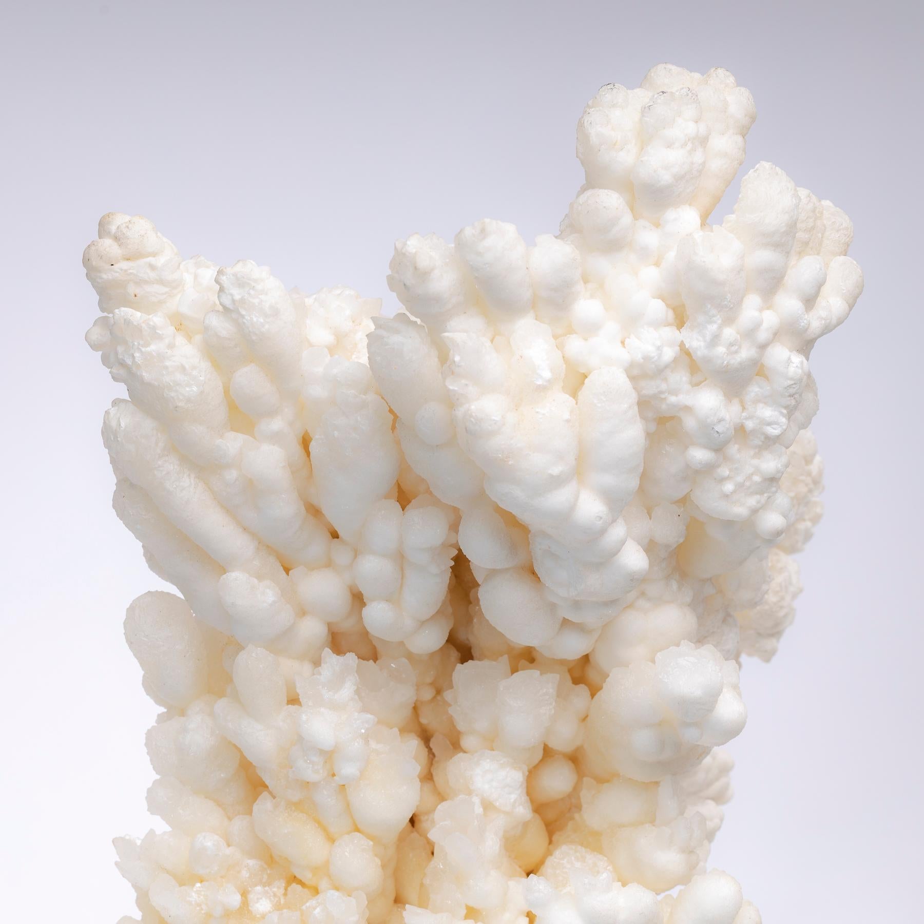 Contemporary Formation of Aragonite Crystal Clusters from Morocco in a Custom Acrylic Stand