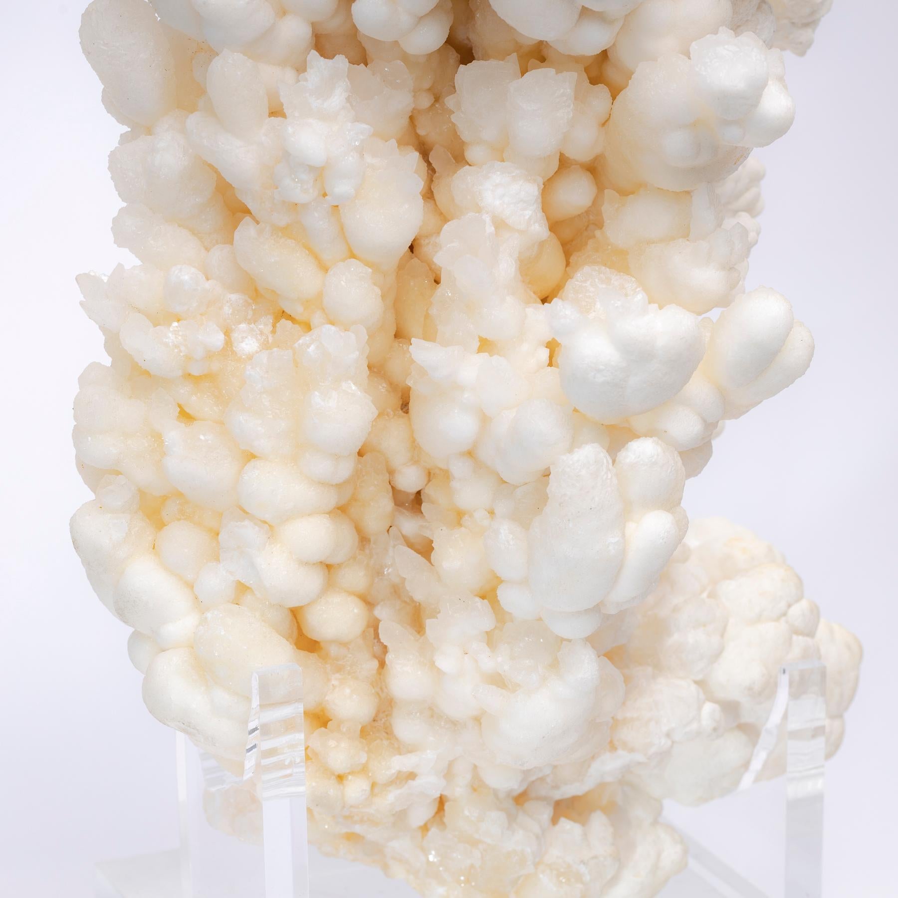 Formation of Aragonite Crystal Clusters from Morocco in a Custom Acrylic Stand 1