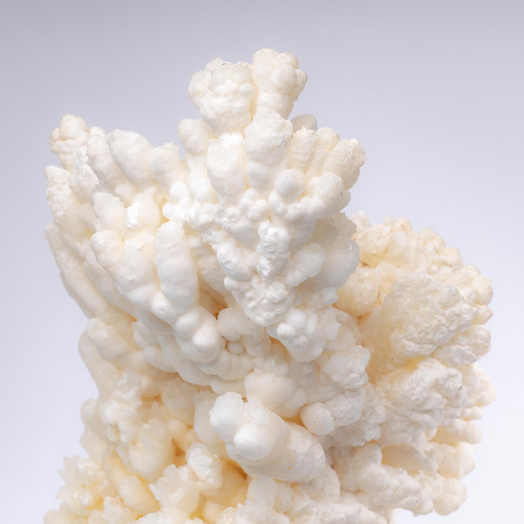 Formation of Aragonite Crystal Clusters from Morocco in a Custom Acrylic Stand 2