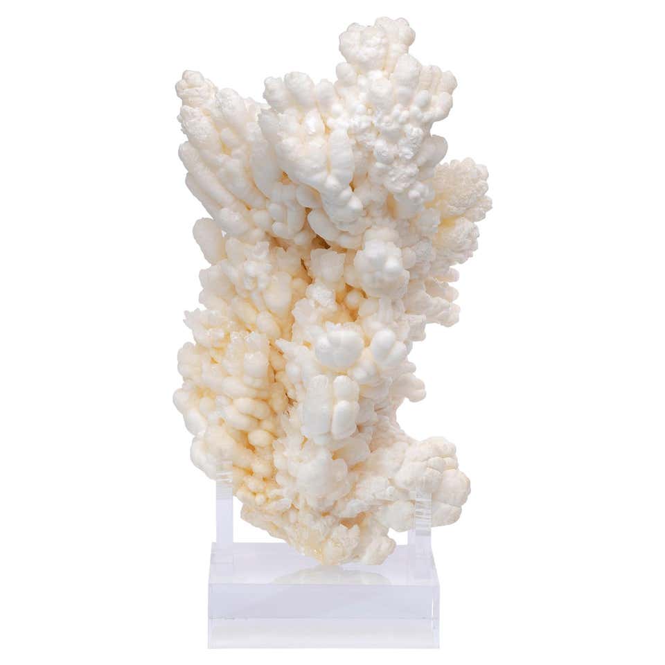 Unusual and Stunning Crystal Formation in White Quartz and Pyrite For ...