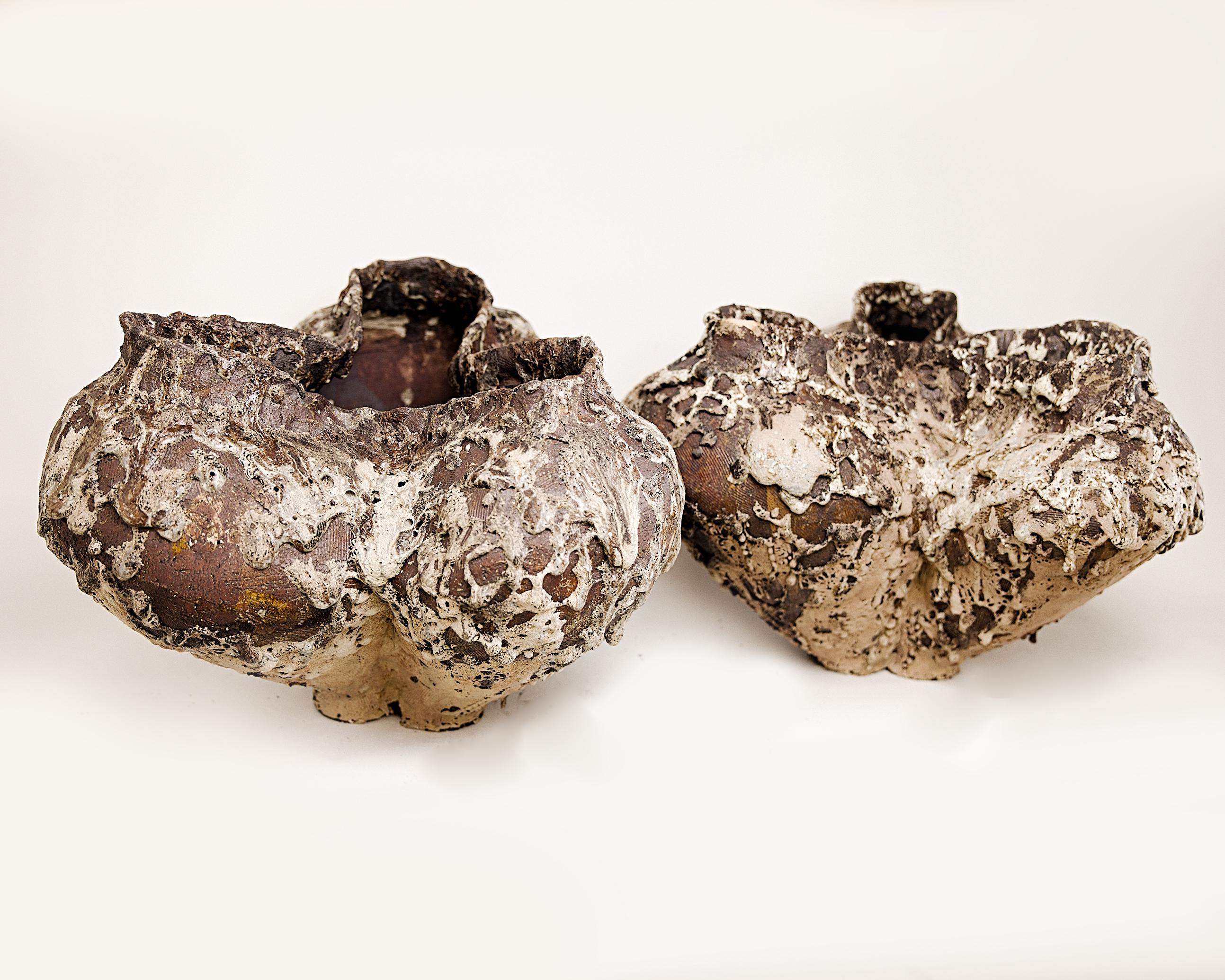 Formations Vessels Forma unica. Due disponibili in vendita 2