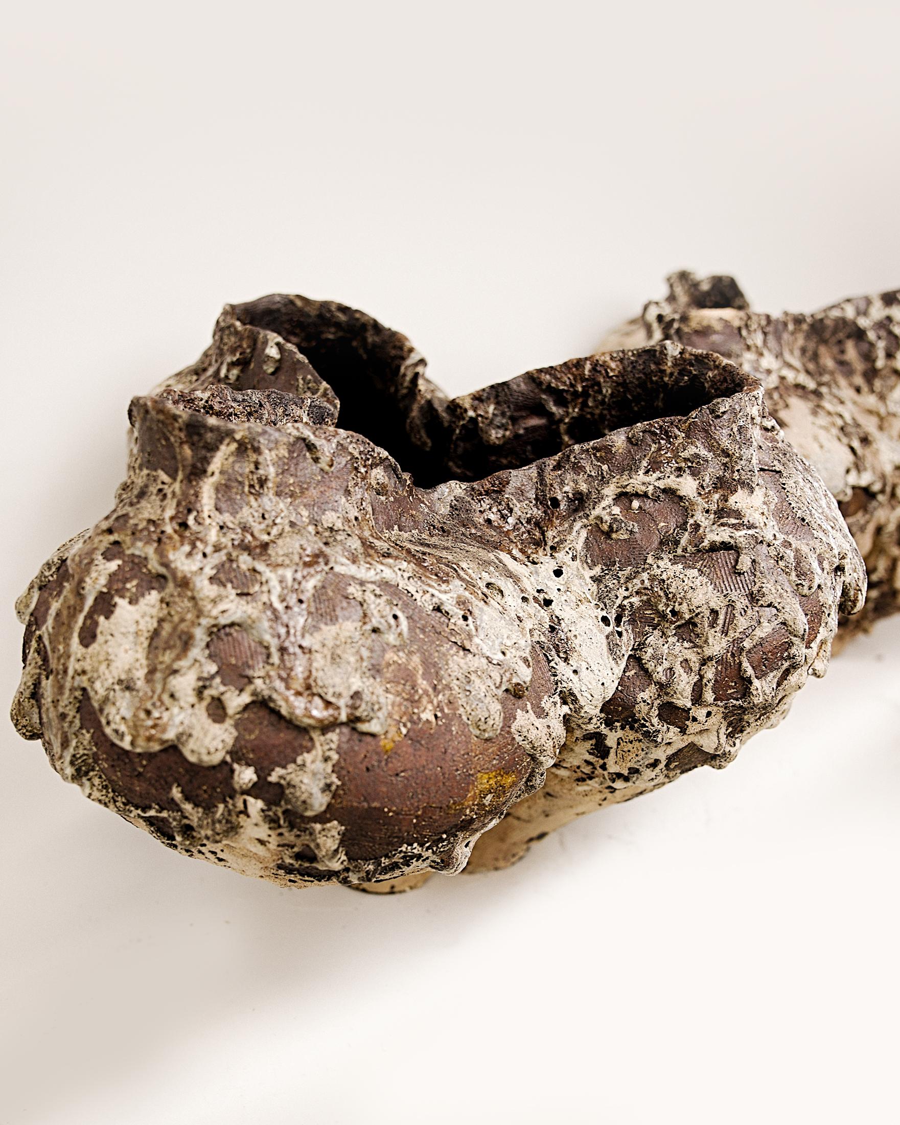Formations Vessels Forma unica. Due disponibili in vendita 6
