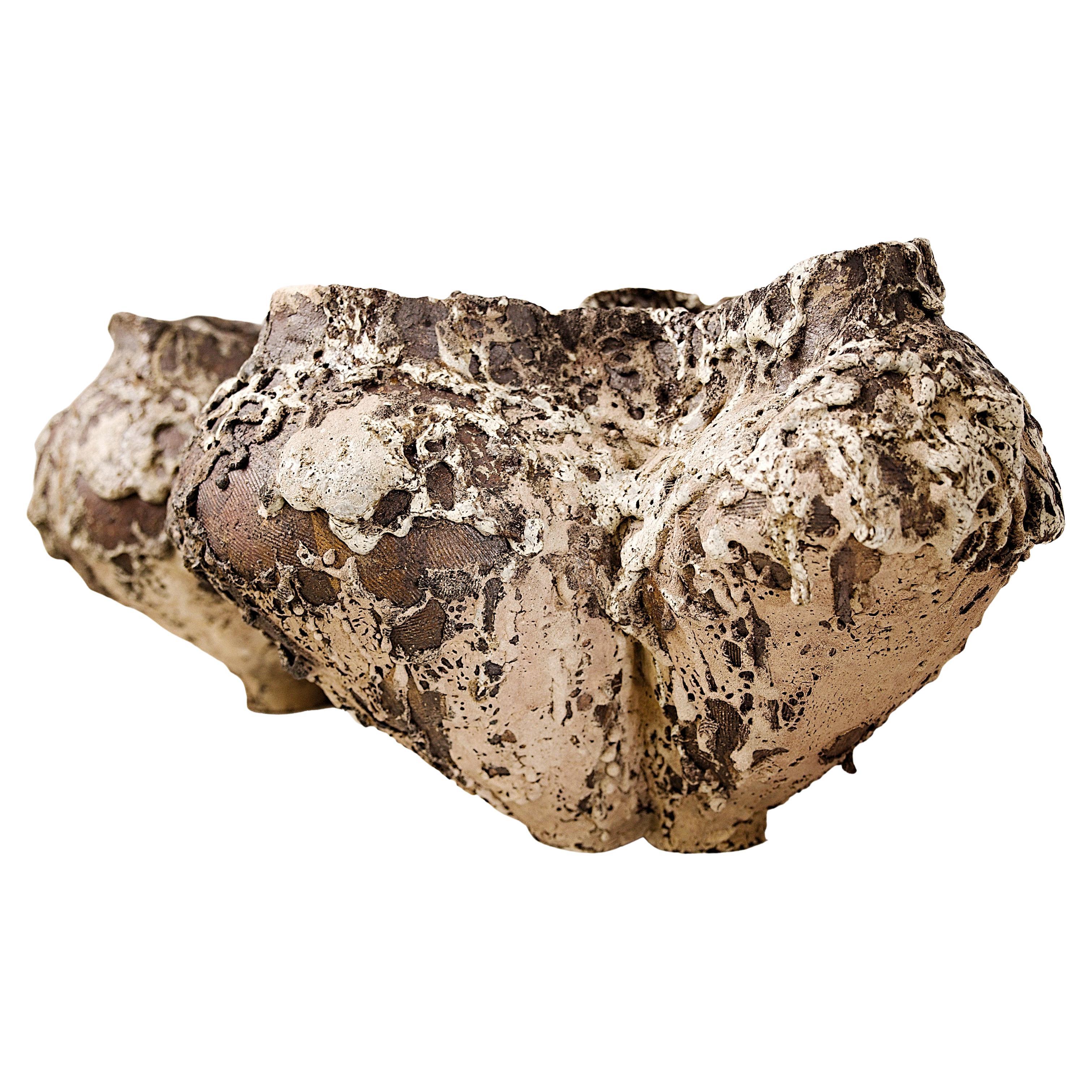 Organico moderno Formations Vessels Forma unica. Due disponibili in vendita