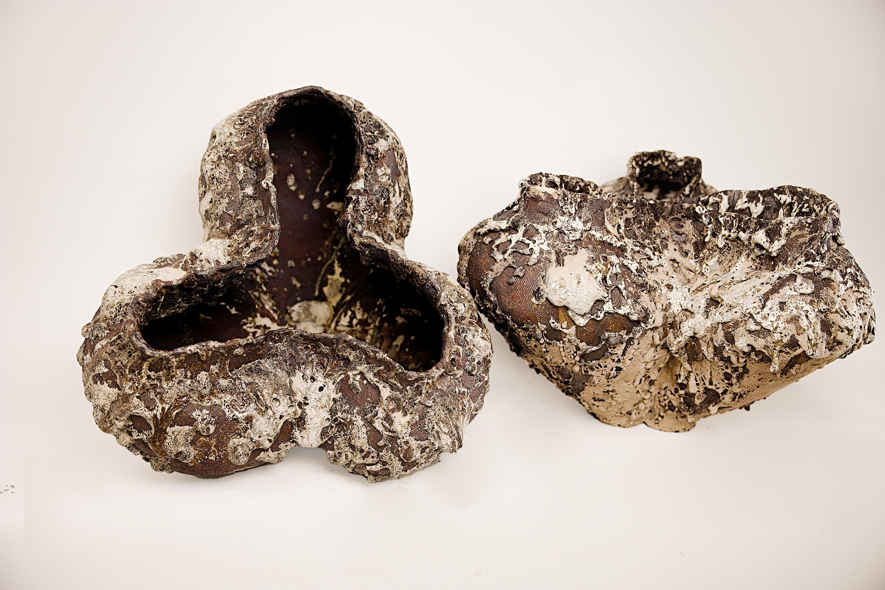 Formations Vessels Forma unica. Due disponibili in vendita 1