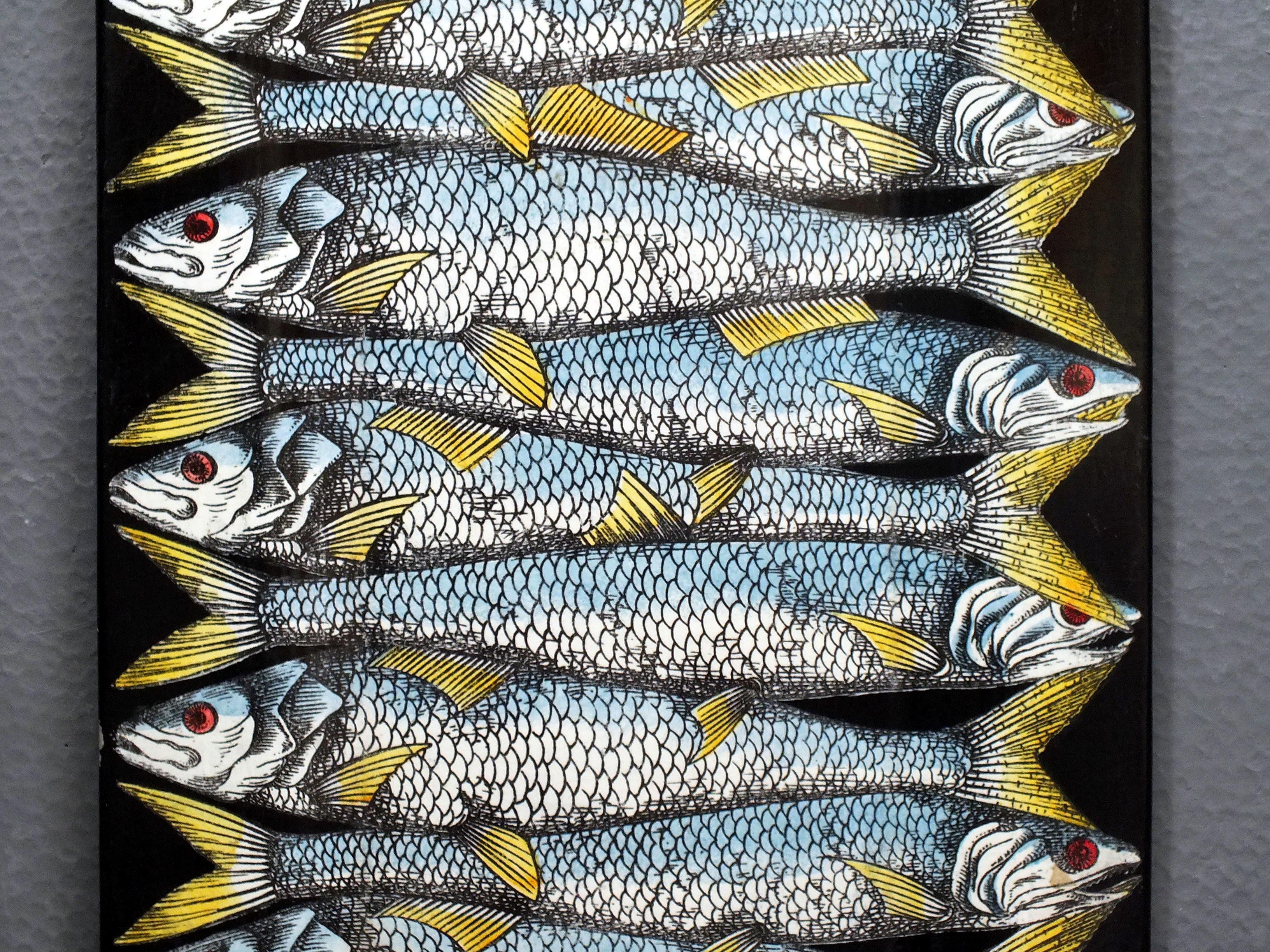 Mid-Century Modern Fornasetti Piero Milan Italie dans les années 50  première édition du plateau laqué poisson en vente