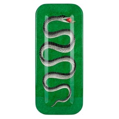 Fornasetti Plateau Rectangulaire Serpente Epongé Vert Bois