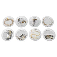 Fornasetti x Fleming Joffe Ltd Platos de porcelana, 8