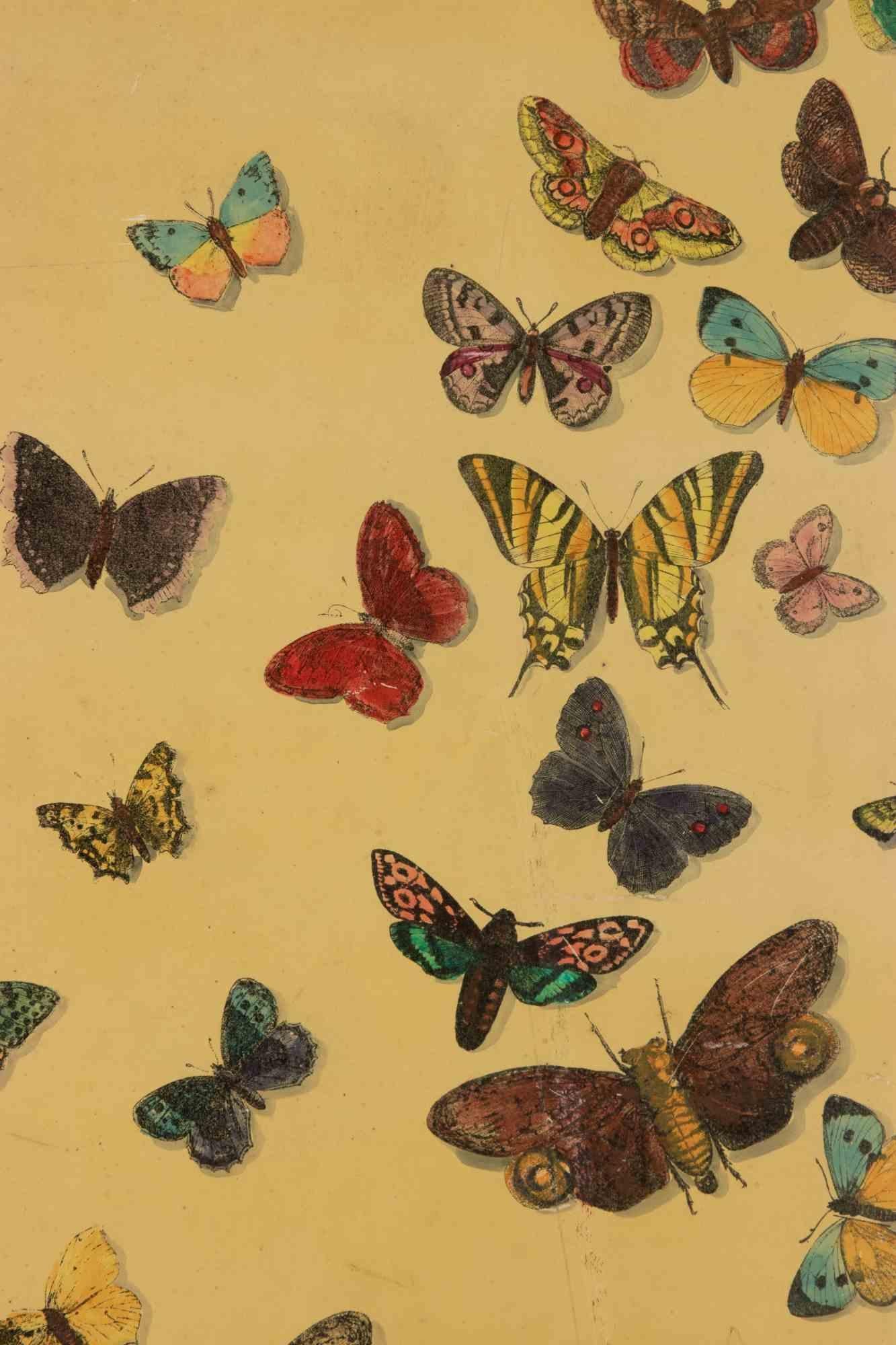 Italian Fornasetti's Panel by Piero Fornasetti, 1950s