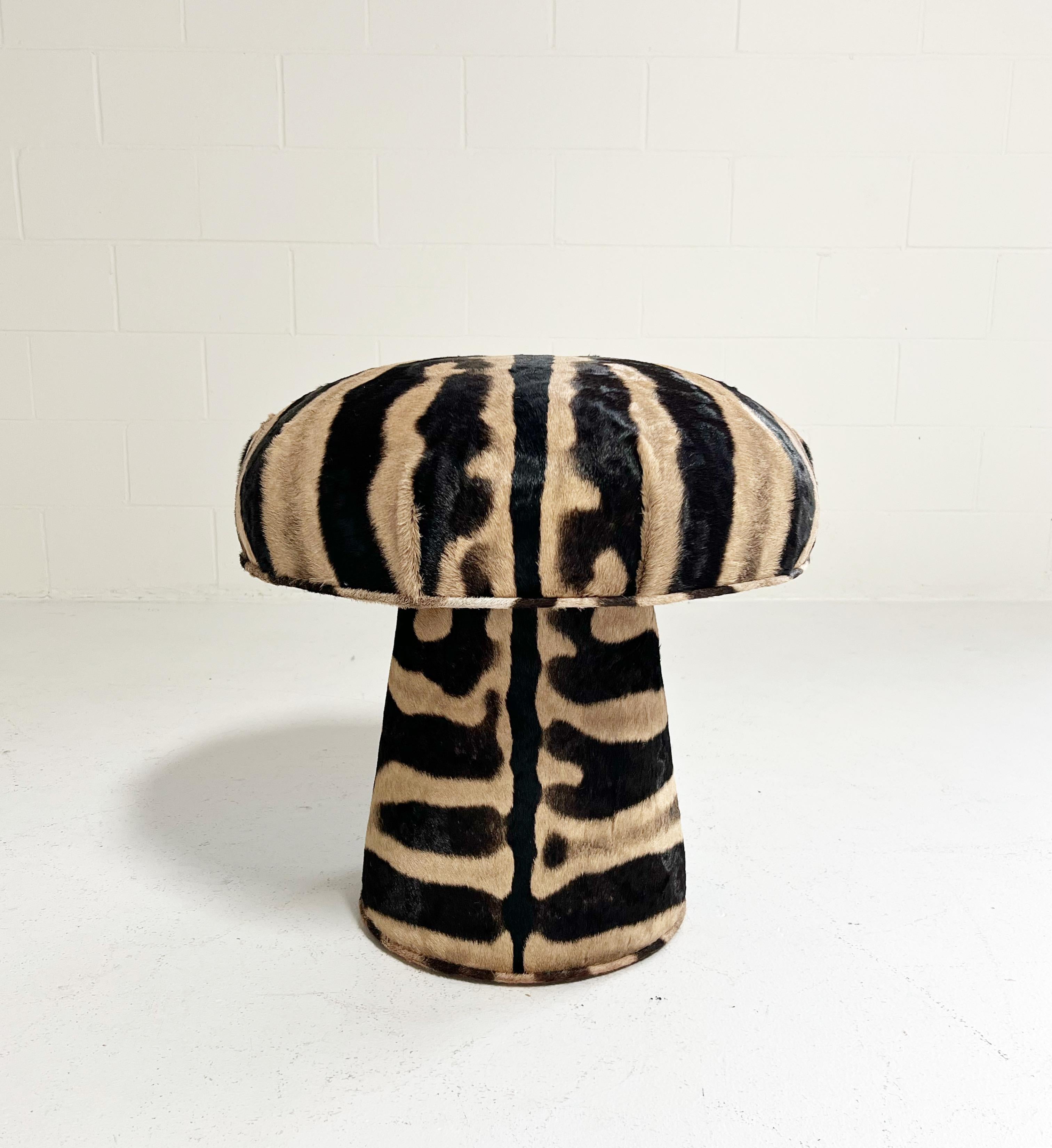 zebra mushroom