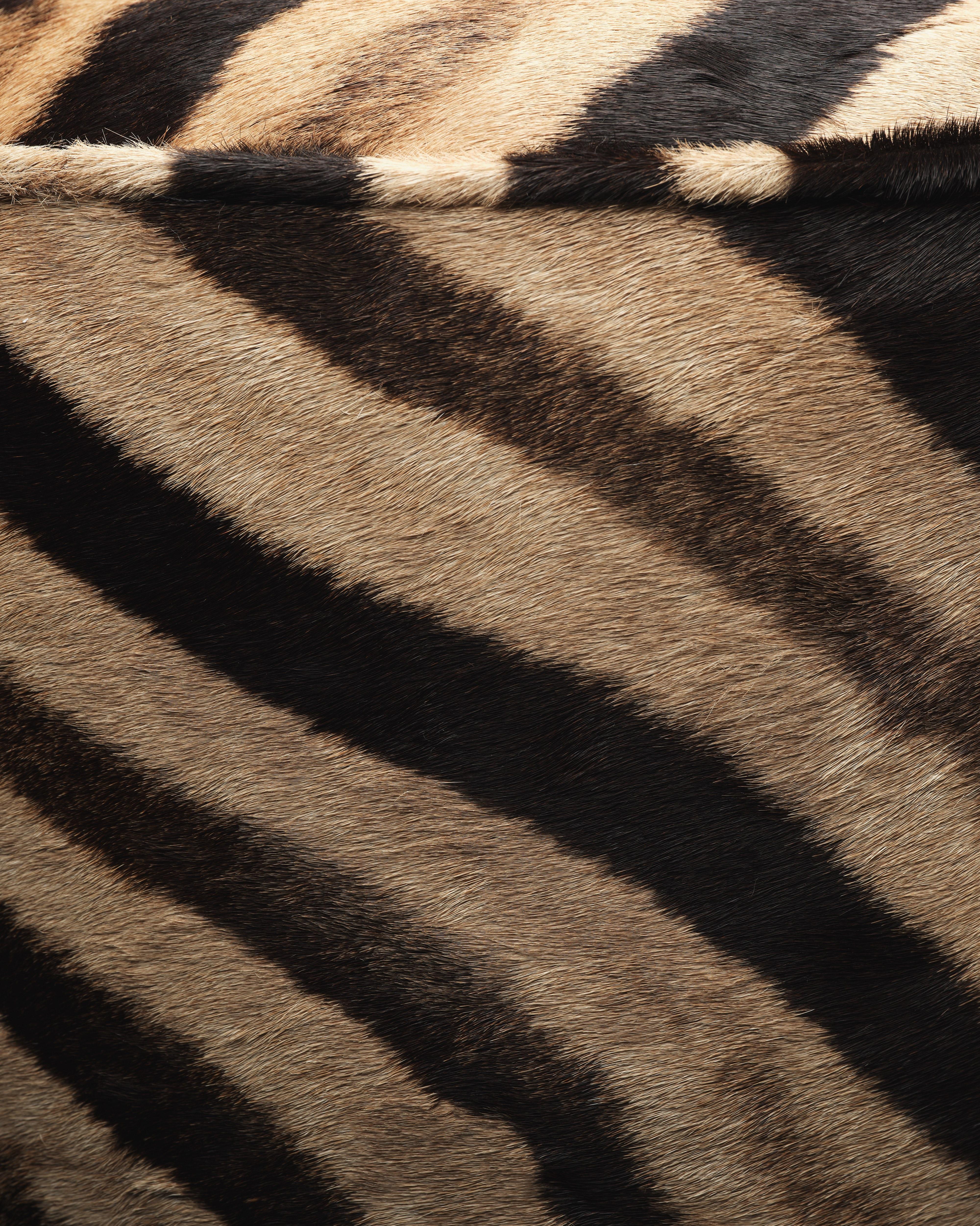 Forsyth Zebrafell-Pouf-Ottoman mit Füßen (amerikanisch) im Angebot