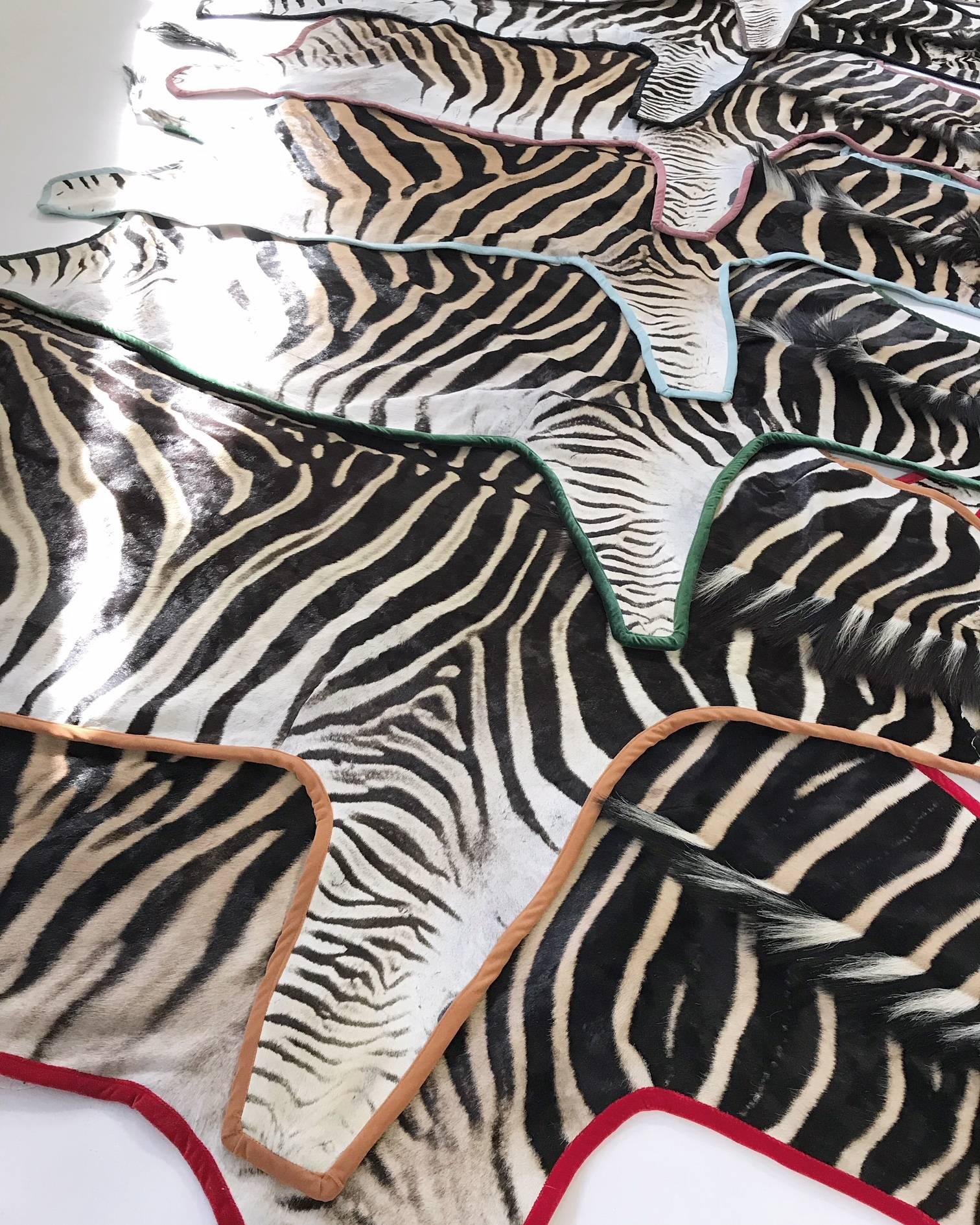Forsyth Zebra Hide Rug Trimmed in Black Velvet For Sale 3