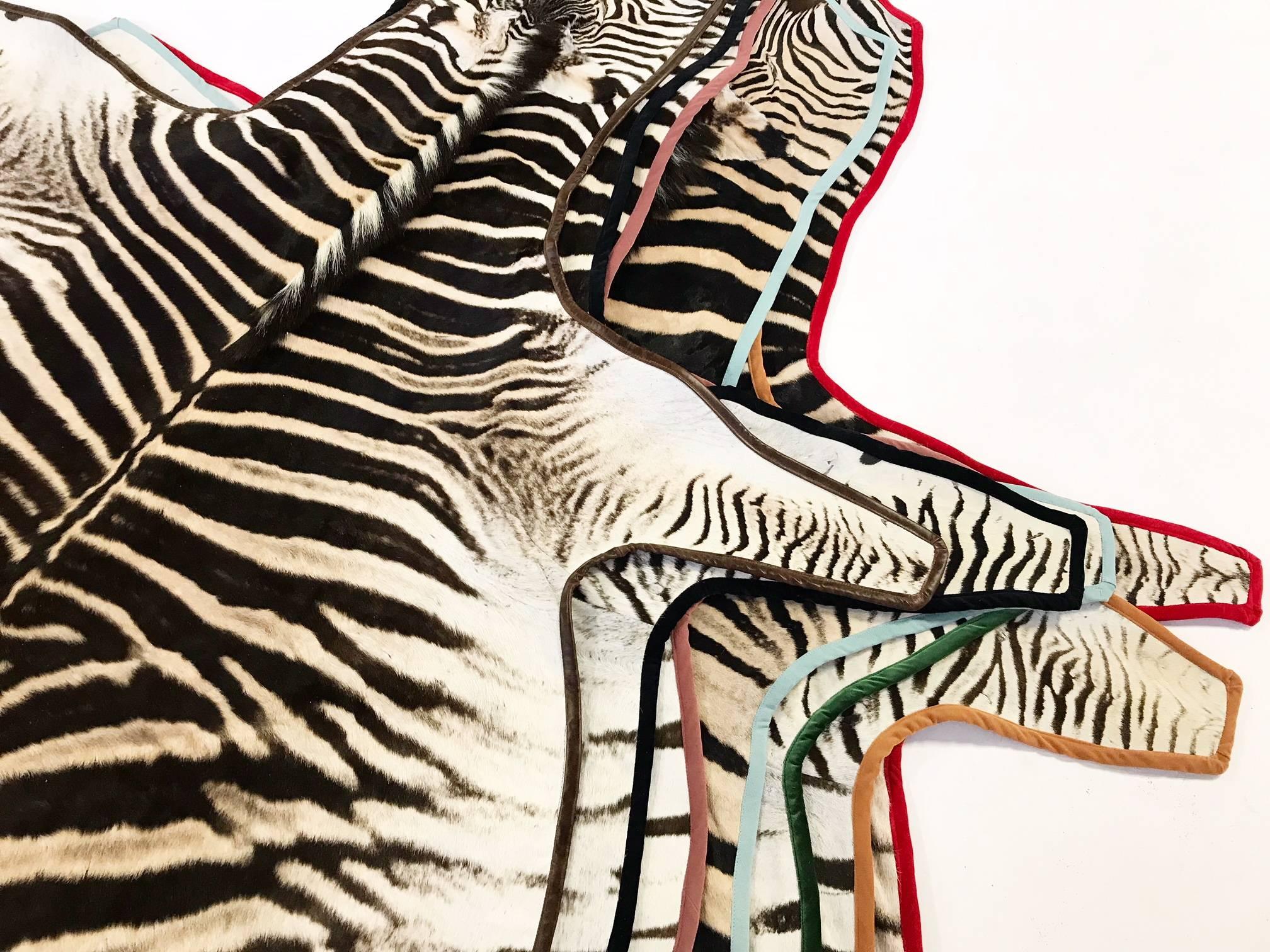 Contemporary Forsyth Zebra Hide Rug Trimmed in Black Velvet For Sale