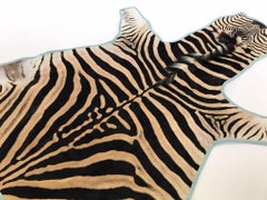 Forsyth Zebra Hide Rug Trimmed in Blue Cotton Linen