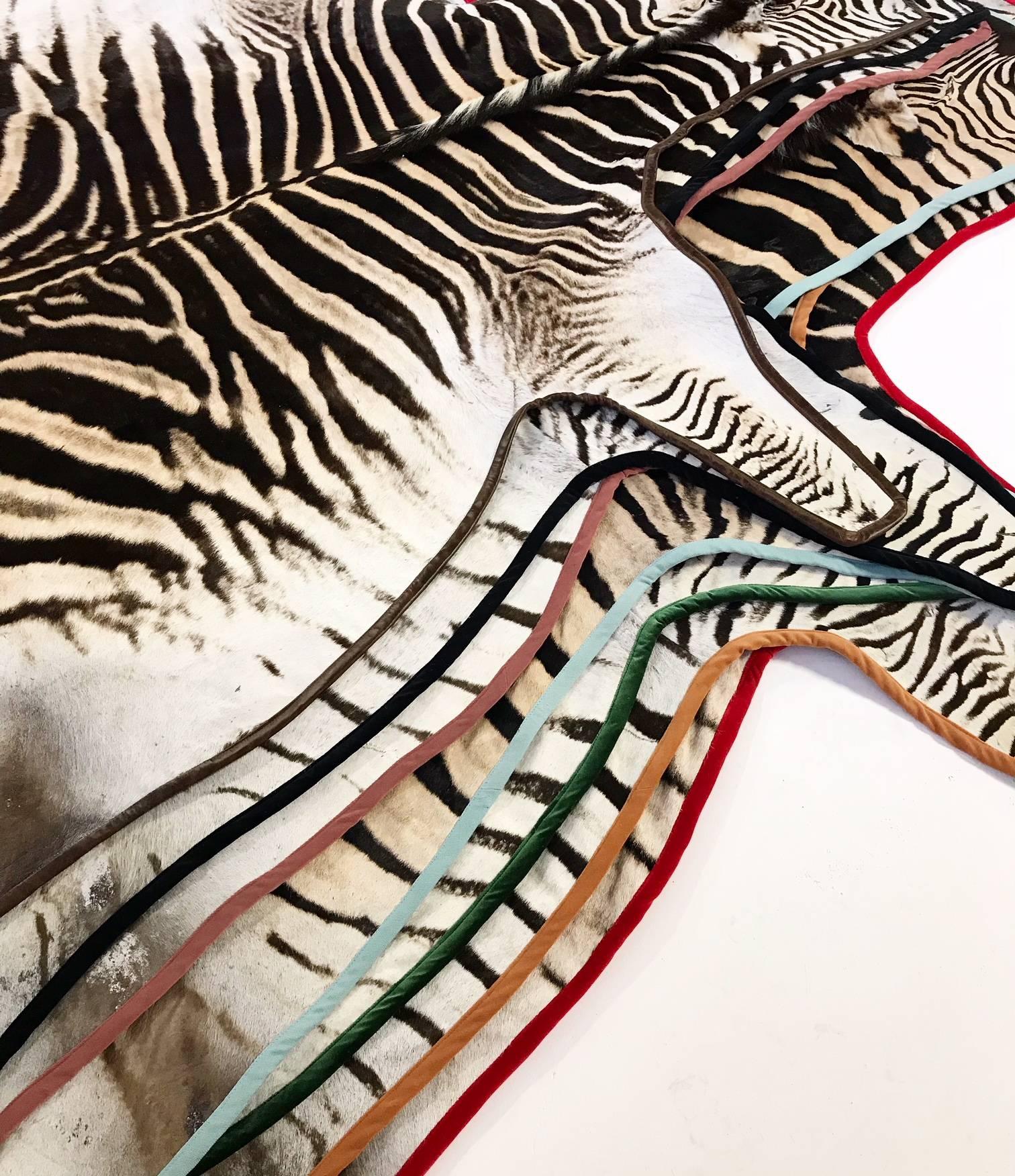 Forsyth Zebra Hide Rug Trimmed in Blush Velvet 2