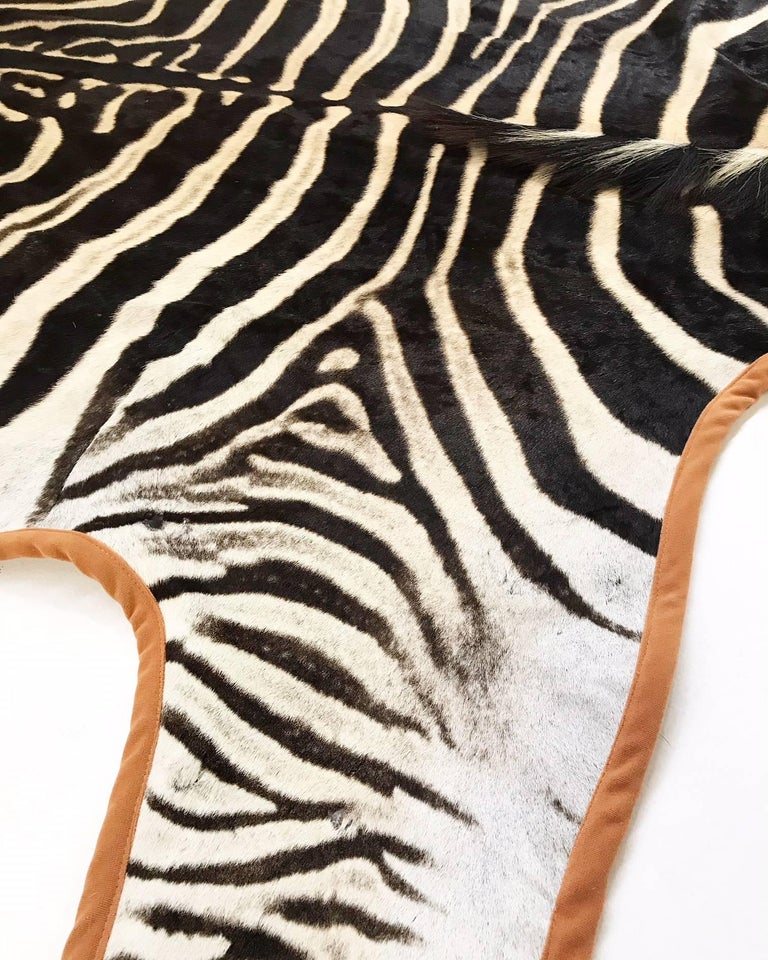 Forsyth Zebra Hide Rug Trimmed in Burnt Orange Velvet at 1stDibs