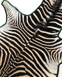Forsyth Zebra Hide Rug Trimmed in Emerald Green Velvet