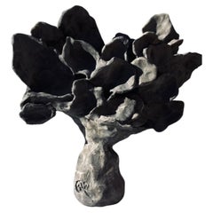 Crescita rafforzata