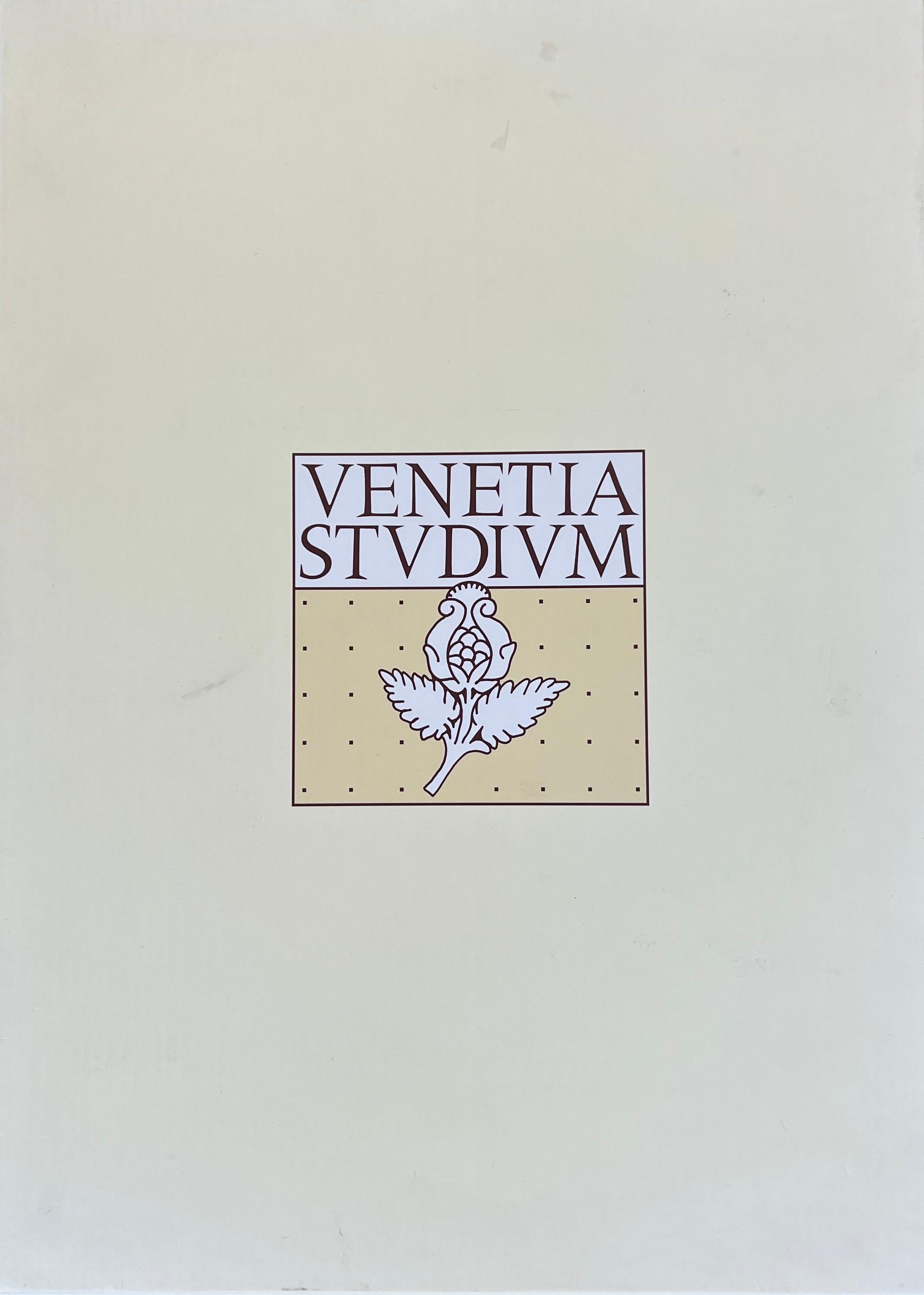 Fortuny by Venetia Studium Pleated Teal Ensemble  1