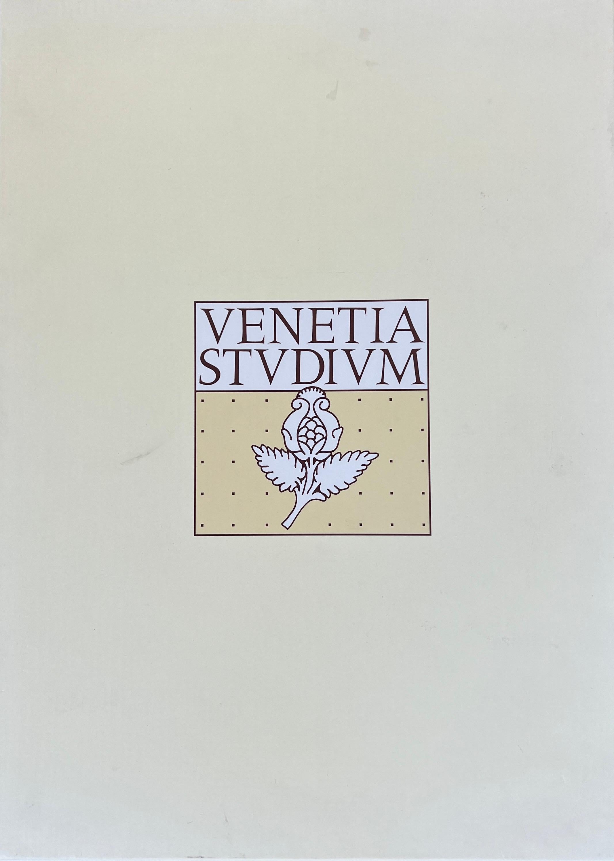 Fortuny by Venetia Studium Pleated Teal Ensemble 1