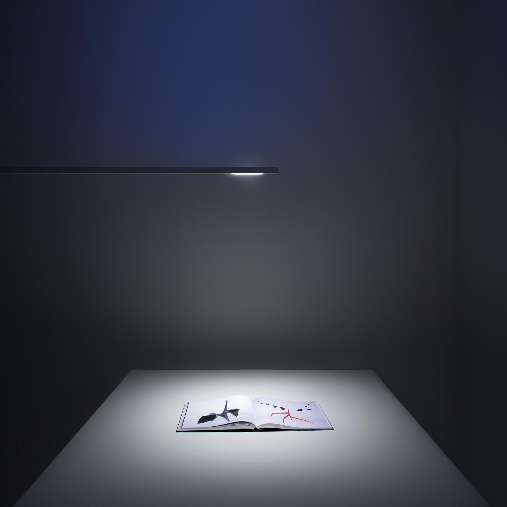 Contemporary FOSBURY pendant lamp in Matt Black by  Davide Groppi For Sale