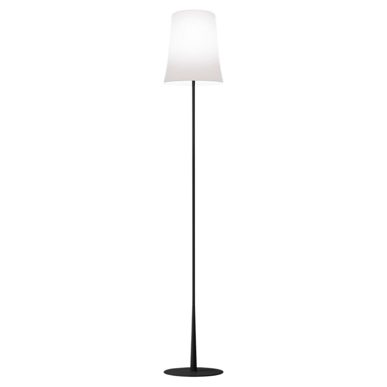 Foscarini Birdie Easy Floor Lamp in Black by Ludovica & Roberto Palomba For Sale