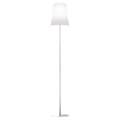 Foscarini Birdie Easy Floor Lamp in Sage Green by Ludovica & Roberto Palomba