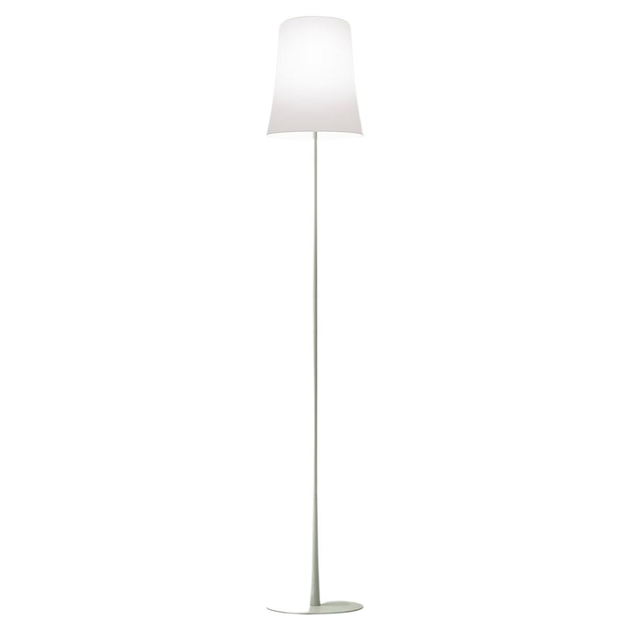 Foscarini Birdie Easy Floor Lamp in Sage Green by Ludovica & Roberto Palomba For Sale