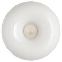 Foscarini Circus Small Wall Lamp in White by Defne Koz